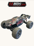Arma Kraton 6s LA420016